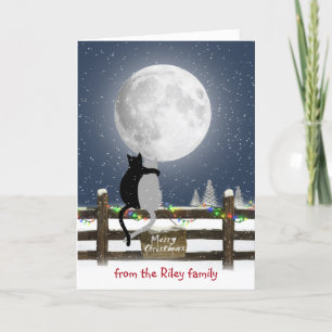 Christmas Cats on Fence with Moon  Holiday Card