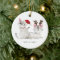 Christmas Cats Santa Antlers