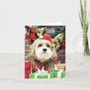 Christmas - Cavachon - Max Holiday Card