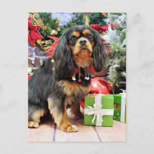 Christmas - Cavalier - Charlie Holiday Postcard