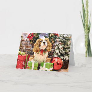 Christmas - Cavalier King Charles Spaniel Maverick Holiday Card
