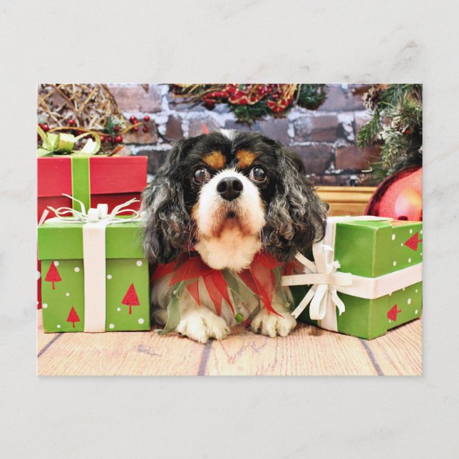 Christmas - Cavalier King Charles Spaniel - Rose Holiday Postcard (Front)