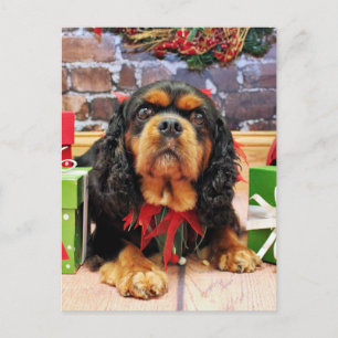 Christmas - Cavalier King Charles Spaniel SweetPea Holiday Postcard