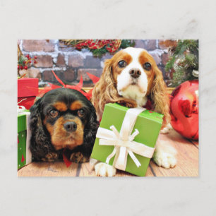 Christmas - Cavalier - Sweet Pea and Poppy Holiday Postcard