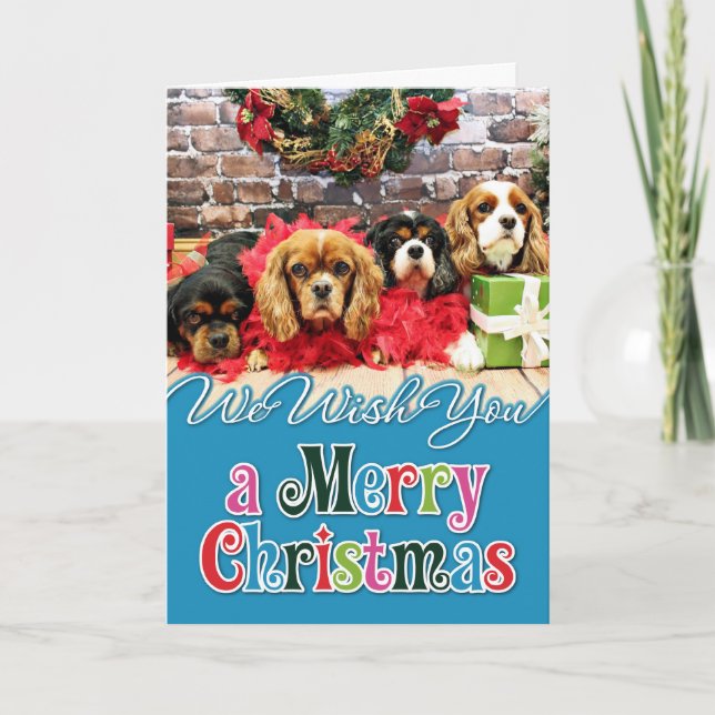 Christmas - Cavalier - Sweet Pea, Lily, Rose Poppy Holiday Card (Front)