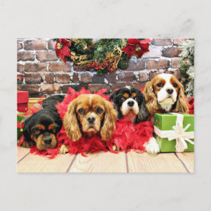 Christmas - Cavalier - Sweet Pea, Lily, Rose Poppy Holiday Postcard