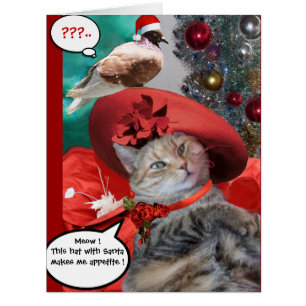 CHRISTMAS CELEBRATIONS OF PRINCESS TATUS CAT