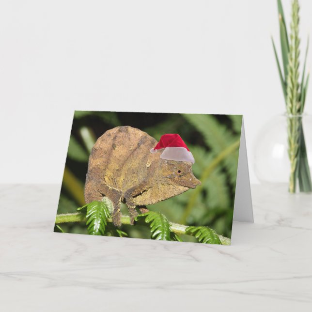 Christmas Chameleon Holiday Card (Front)