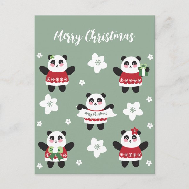 Christmas Cherry Blossom Panda Postcard (Front)