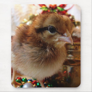 Christmas Chick 3 Mouse Pad