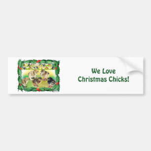 Christmas Chicks Bumper Sticker