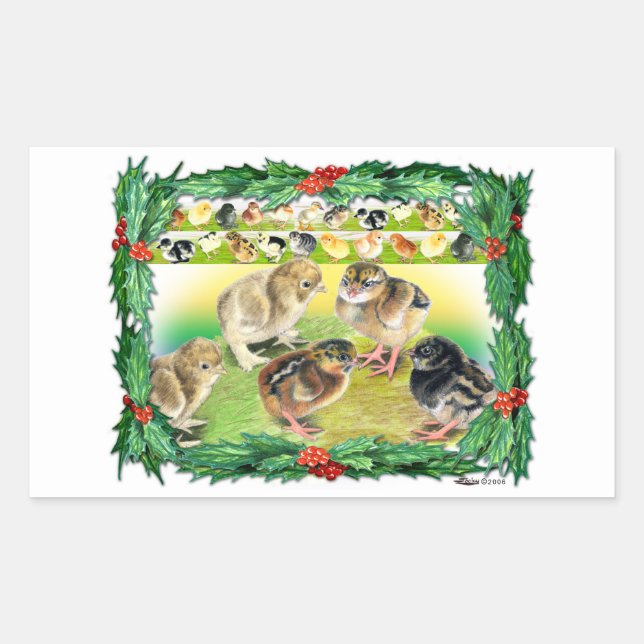 Christmas Chicks Rectangular Sticker (Front)