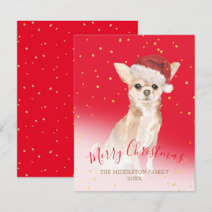 Christmas Chihuahua Dog Gold Red Seasonal Greeting