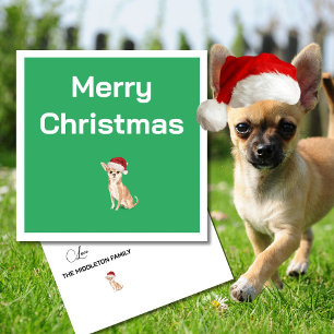 Christmas Chihuahua Dog White Green Merry Greeting