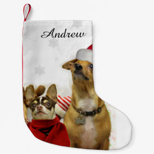 Christmas Chihuahua dogs personalised stocking