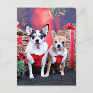 Christmas - Chihuahua - Moo Moo and Ginger Holiday Postcard