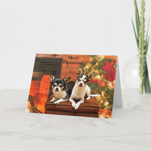 Christmas Chihuahua’s Holiday Card (Front)