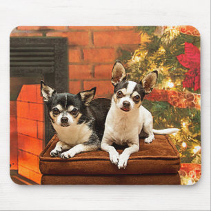 Christmas Chihuahua’s Mouse Pad