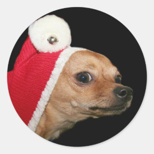 Christmas Chihuahua stickers