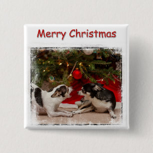 Christmas Chihuahua's 15 Cm Square Badge