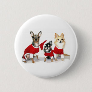 Christmas Chihuahuas 6 Cm Round Badge