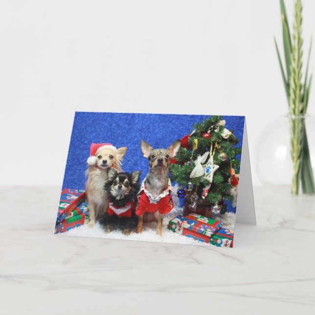Christmas Chihuahuas Holiday Card (Front)