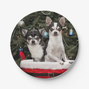 Christmas Chihuahua's in a red basket Paper Plate