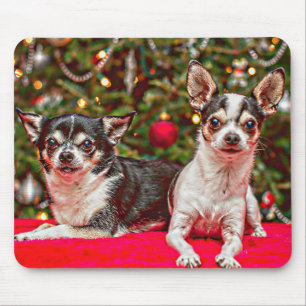Christmas Chihuahua's Mouse Pad