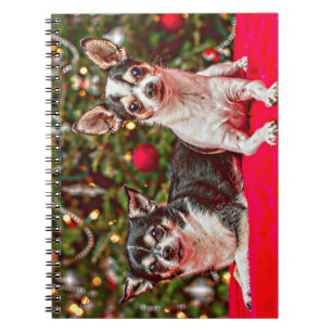 Christmas Chihuahua's Notebook