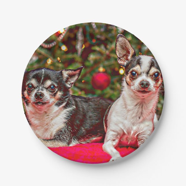 Christmas Chihuahua's Paper Plate (Front)