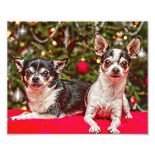 Christmas Chihuahua's Photo Print