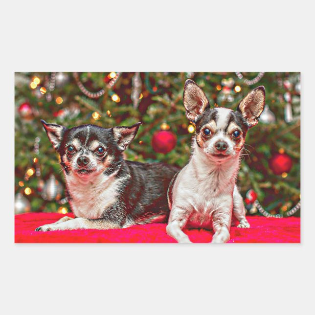 Christmas Chihuahua's Rectangular Sticker (Front)
