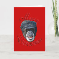Christmas Chimpanzee