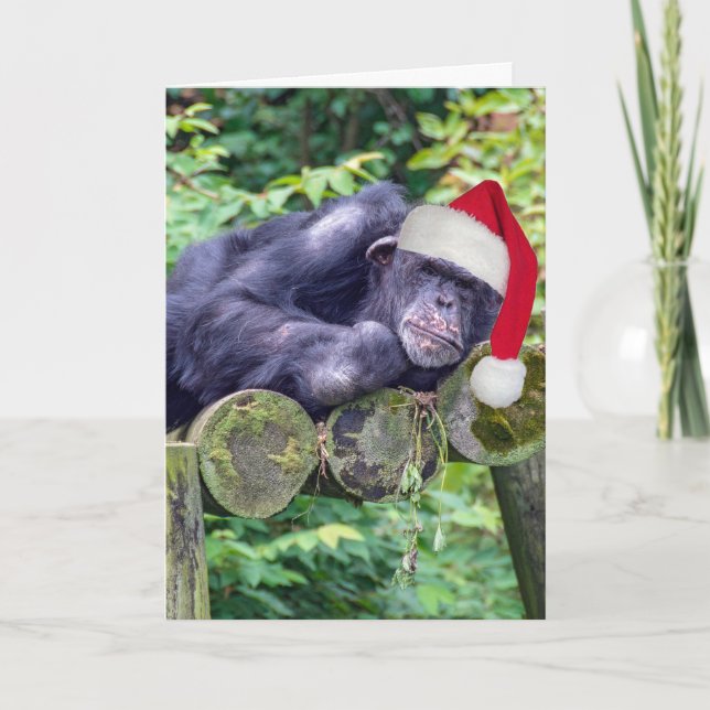 Christmas Chimpanzee with a Santa Hat Card (Front)