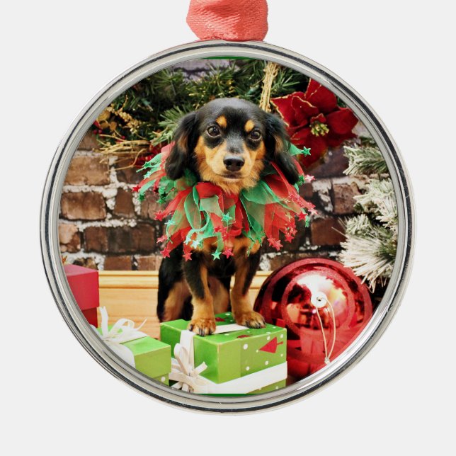 Christmas - Chiweenie - Titus Metal Ornament (Front)