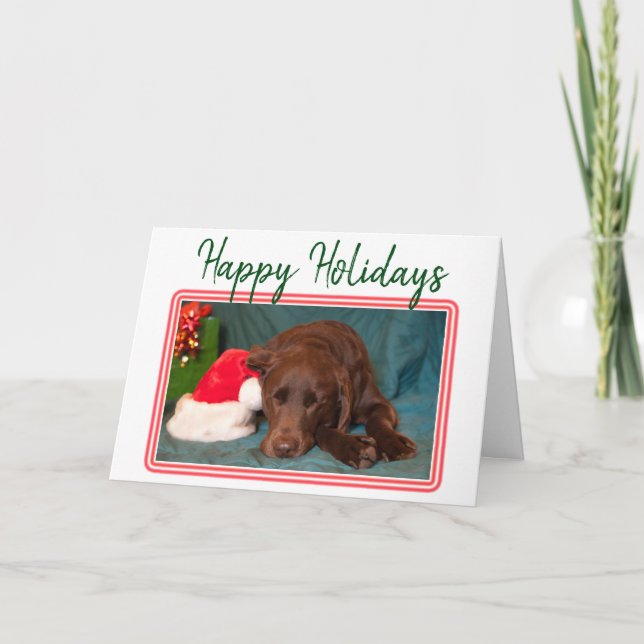 Christmas Chocolate Labrador and Santa Claus Hat Holiday Card (Front)