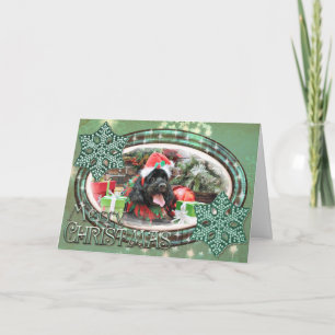 Christmas - Cockapoo - Jack Holiday Card