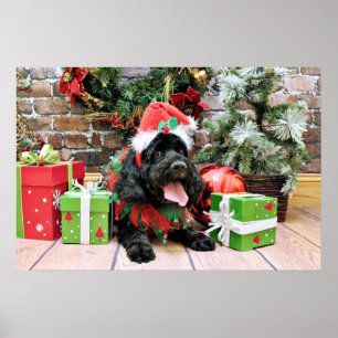 Christmas - Cockapoo - Jack Poster