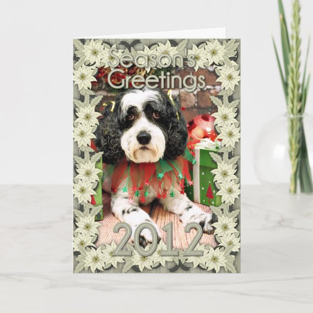 Christmas - Cockapoo - Molly Holiday Card (Front)
