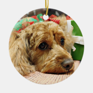 Christmas - Cockapoo - Odie Ceramic Ornament