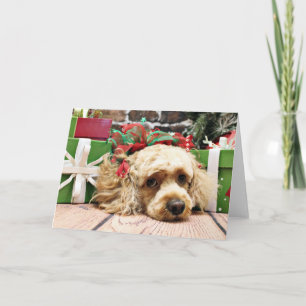 Christmas - Cockapoo - Ruby Holiday Card