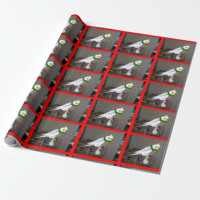 Christmas Cockatiel Wrapping Paper (Unrolled)