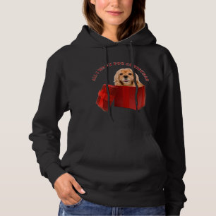 Christmas Cocker Spaniel Dog Xmas Animals Lover Hoodie