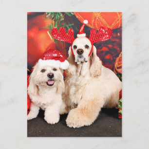 Christmas - Cocker - Toby, Havanese - Little T Holiday Postcard