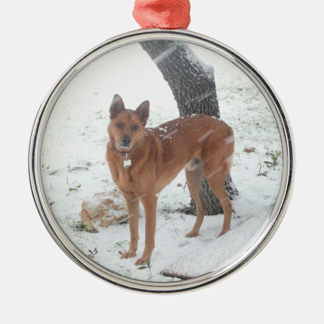 Christmas Collection Add Pet or Family Photo Metal Tree Decoration (Front)
