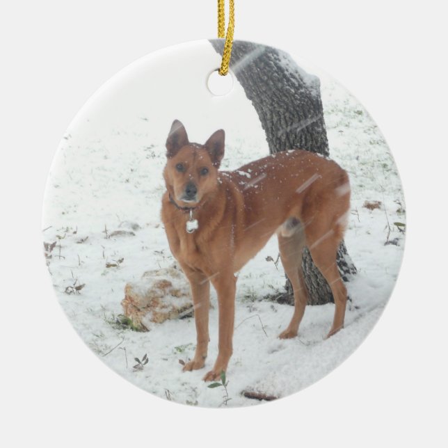 Christmas Collection Add Pet or Family Photos Ceramic Ornament (Front)