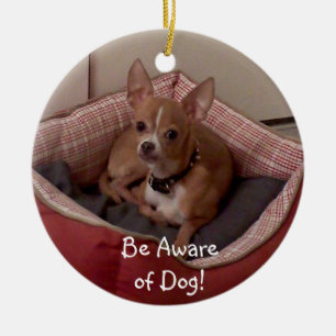 Christmas Collection Add Pet Photo/Other Photos Ceramic Ornament