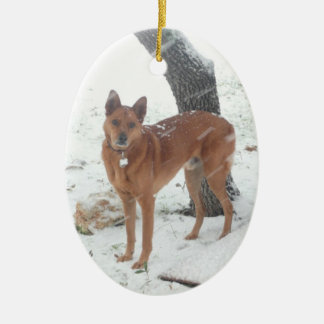 Christmas Collection Pet or Family Photo Ceramic Tree Decoration