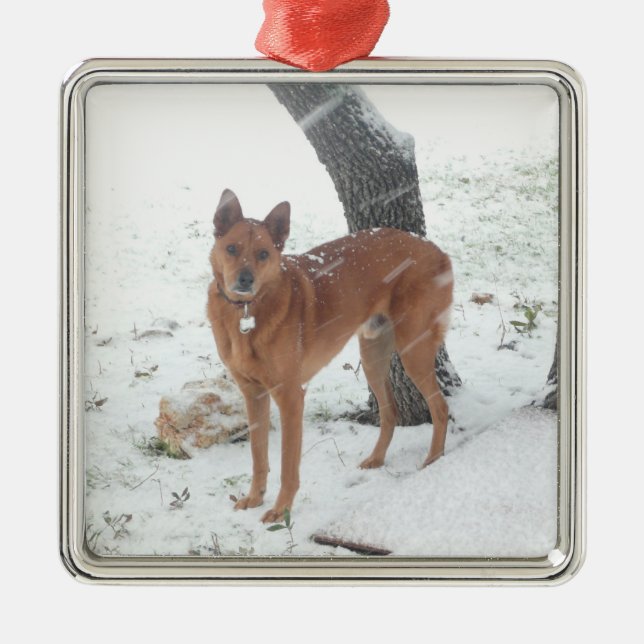 Christmas Collection Pet or Family Photo Metal Ornament (Front)