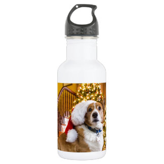 Christmas Corgi 532 Ml Water Bottle
